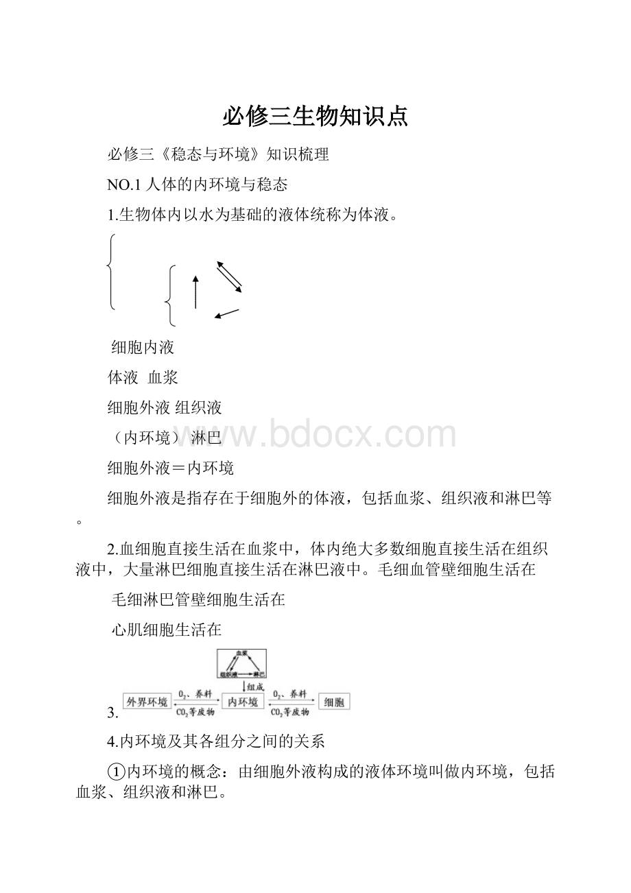 必修三生物知识点.docx