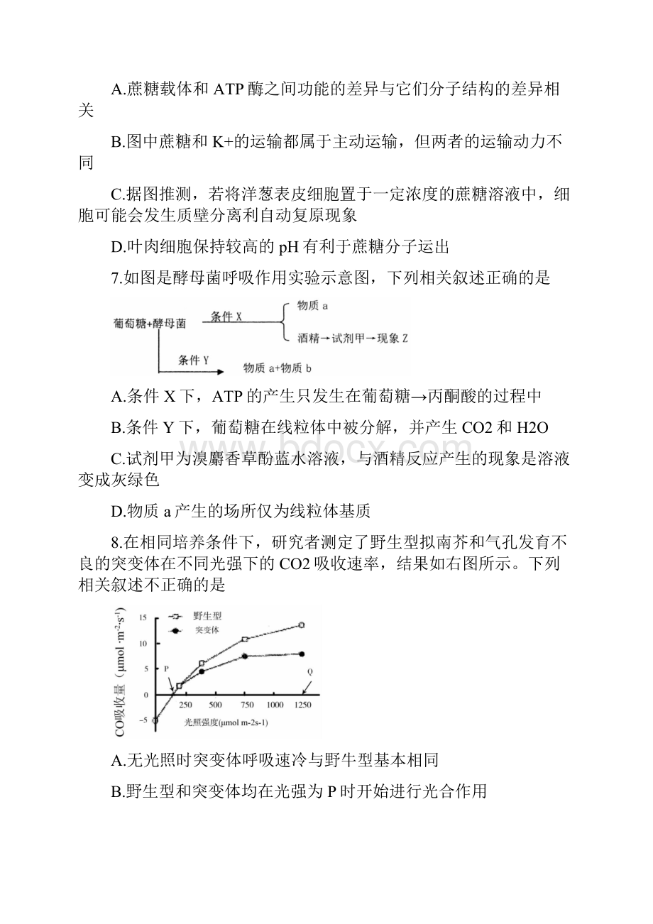 江苏省徐州市沛县届高三上学期第一次学情调研试题 生物含答案.docx_第3页