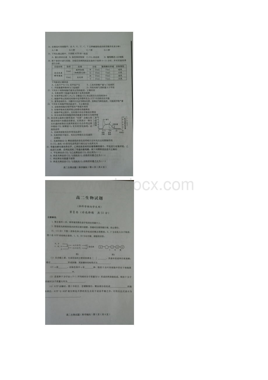 山东省诸城市四县学年高二下学期期末生物试题 扫描版含答案.docx_第3页