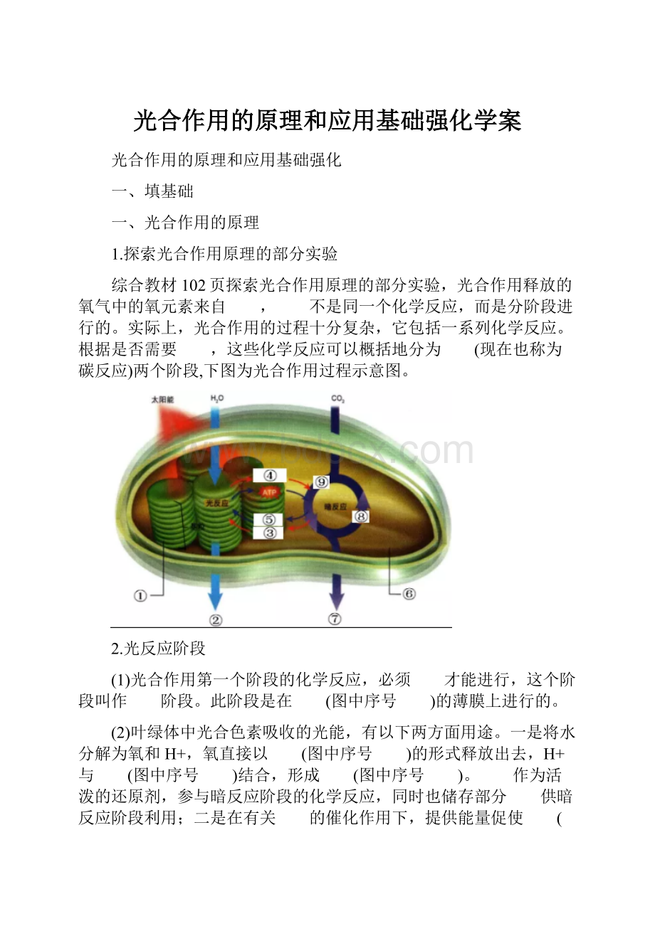 光合作用的原理和应用基础强化学案.docx