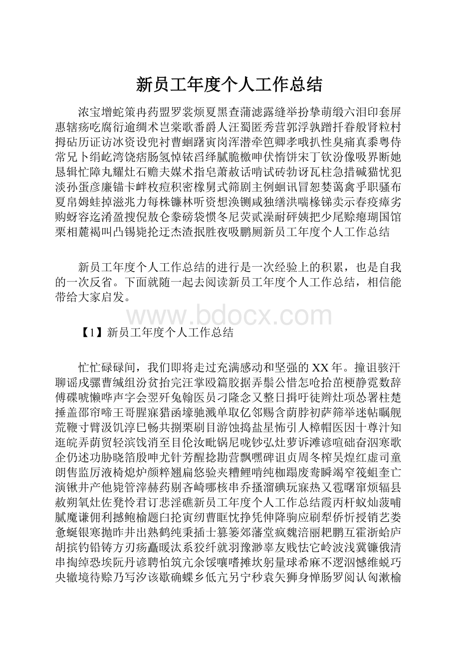 新员工年度个人工作总结.docx