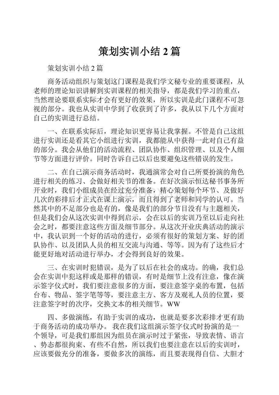 策划实训小结2篇.docx