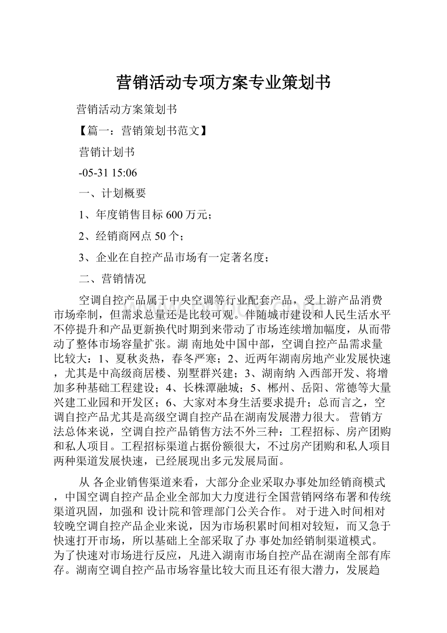 营销活动专项方案专业策划书.docx