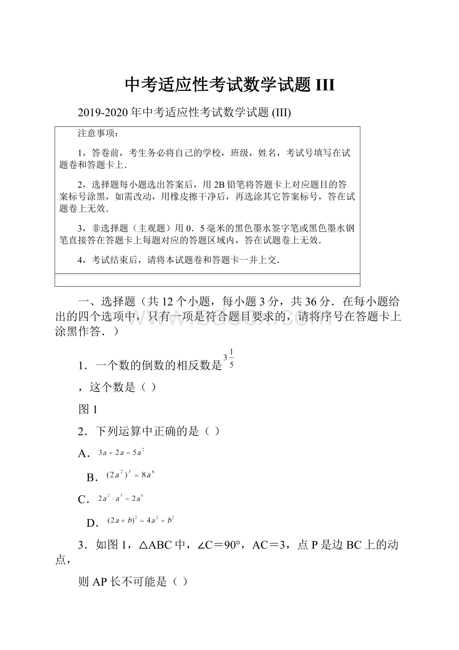 中考适应性考试数学试题 III.docx