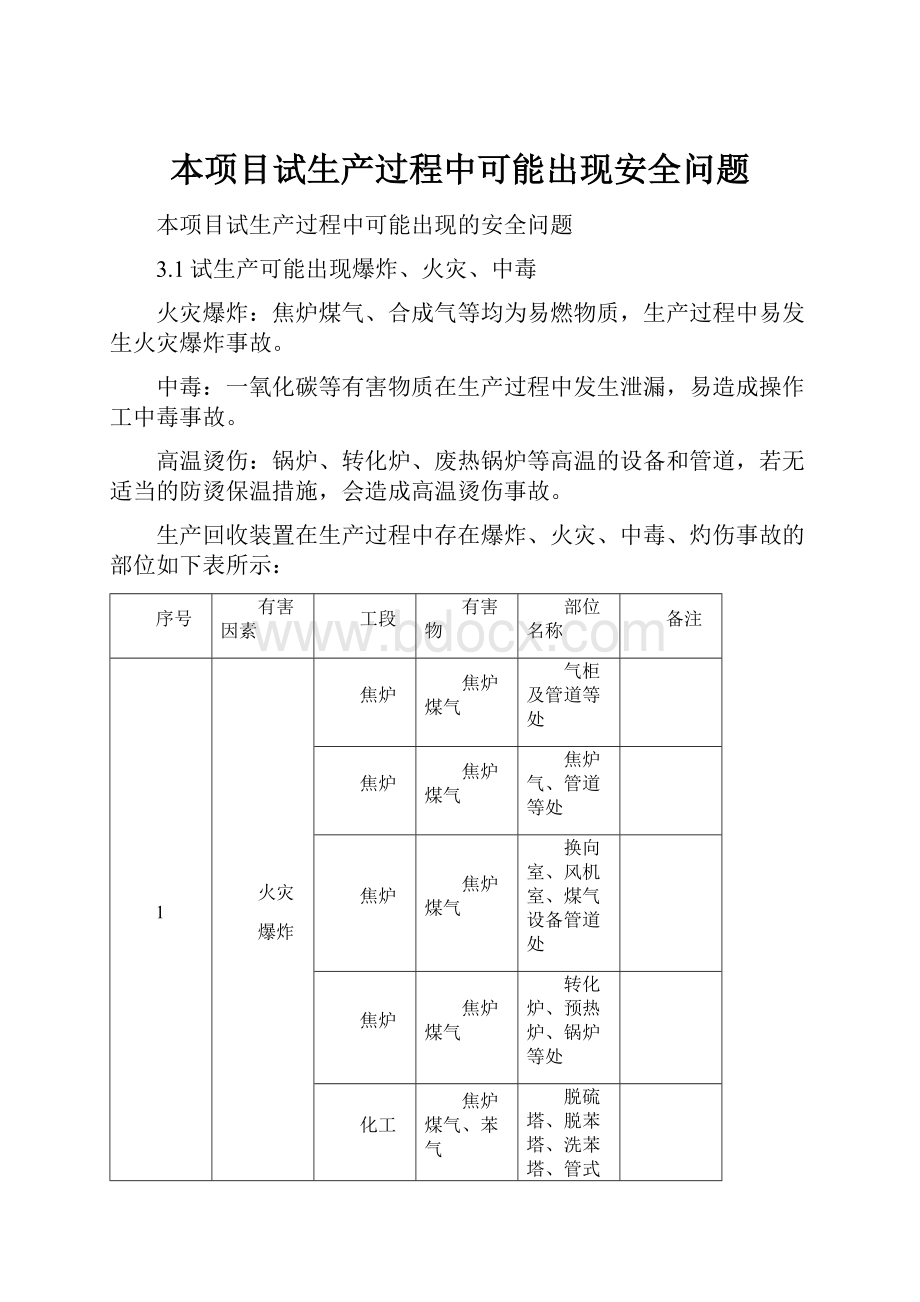 本项目试生产过程中可能出现安全问题.docx