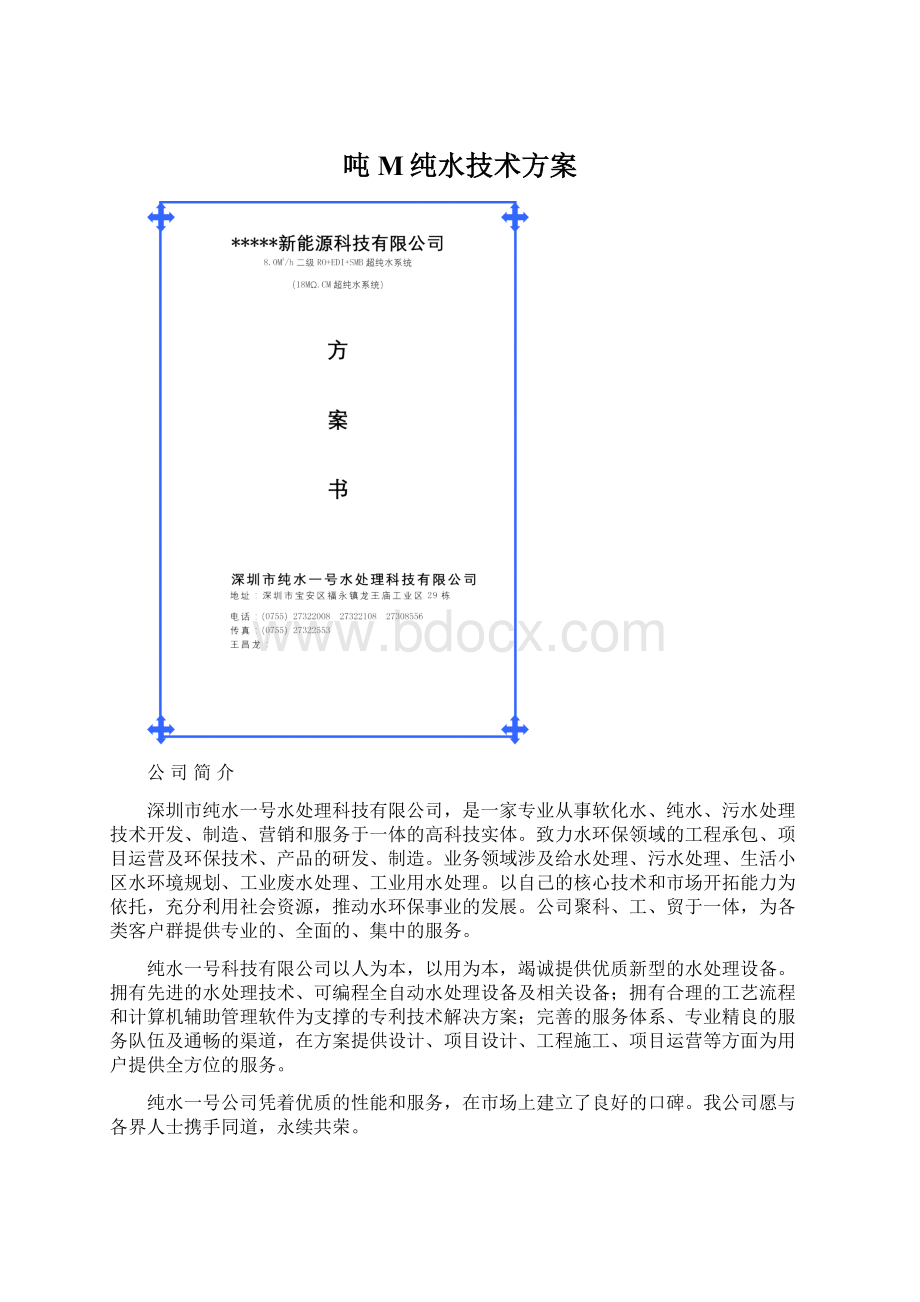 吨M纯水技术方案.docx_第1页