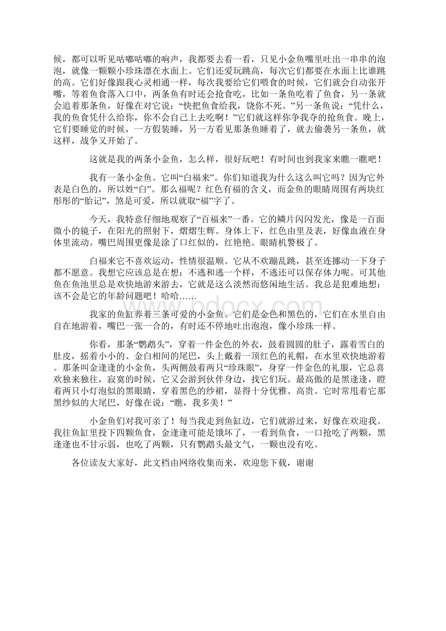 我的小金鱼.docx_第3页