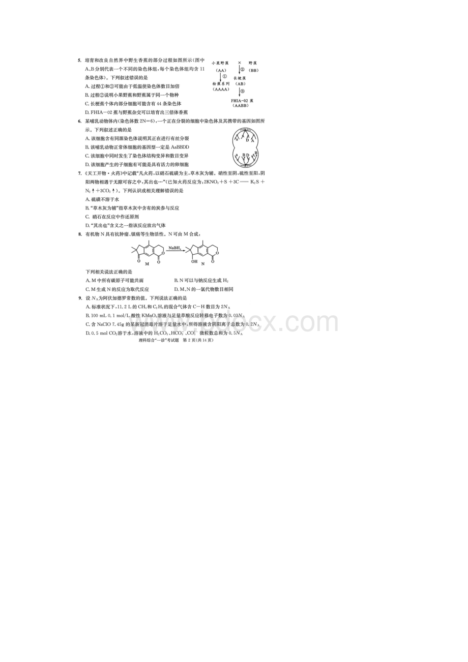 成都市届高三上学期第一次诊断性检测理科综合试题含答案解析.docx_第2页