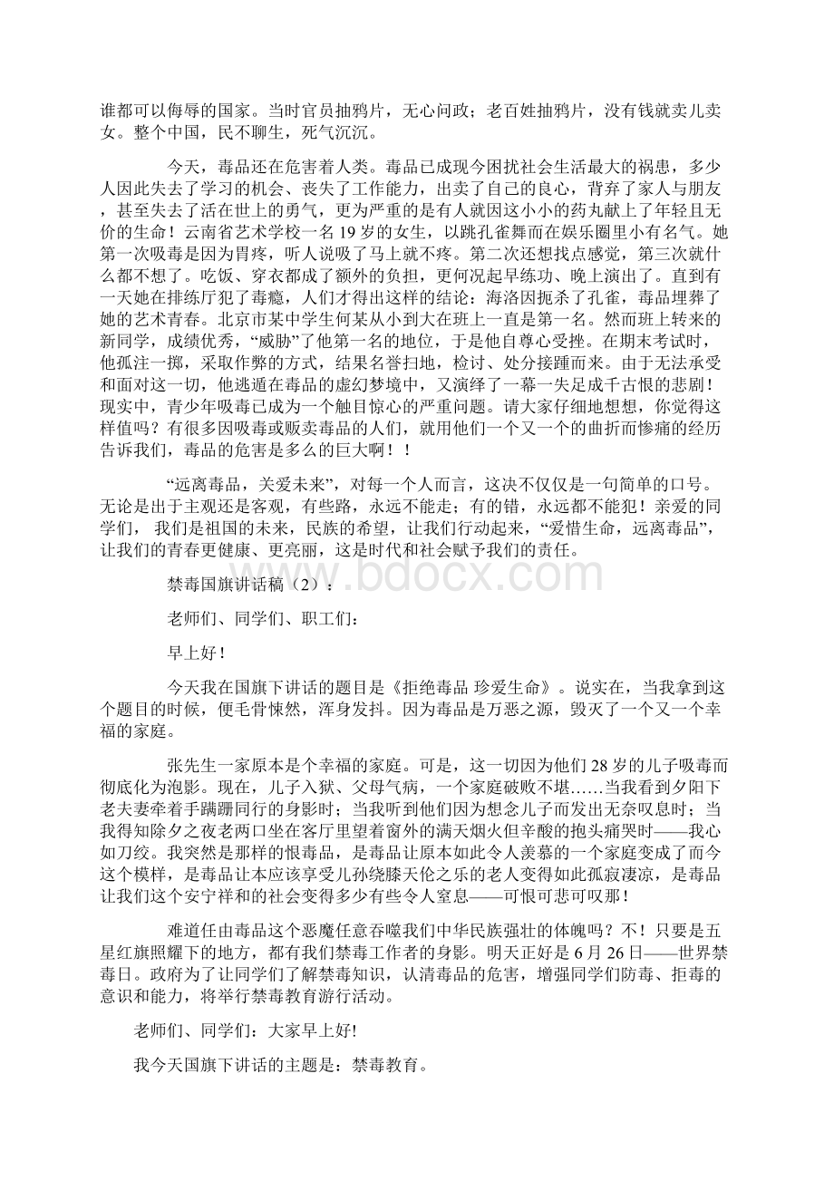 禁毒教育主题国旗下讲话稿doc.docx_第2页