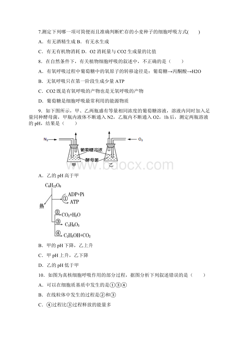 细胞呼吸练习题68850.docx_第3页