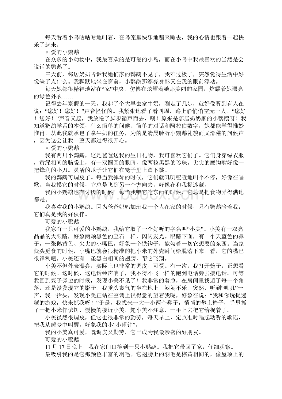 可爱的小鹦鹉作文500字400字300字200字.docx_第2页