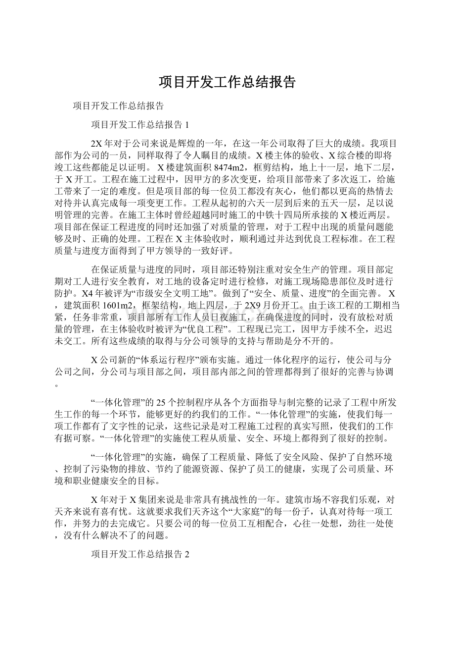 项目开发工作总结报告.docx