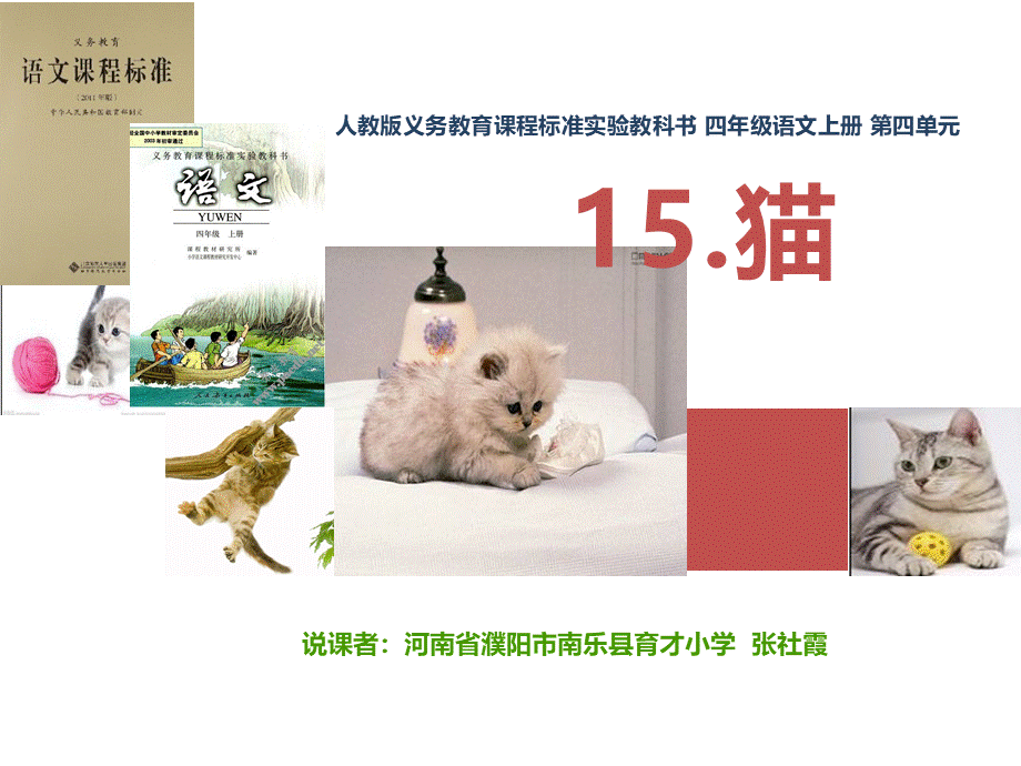 《猫》老舍说课课件.pptx