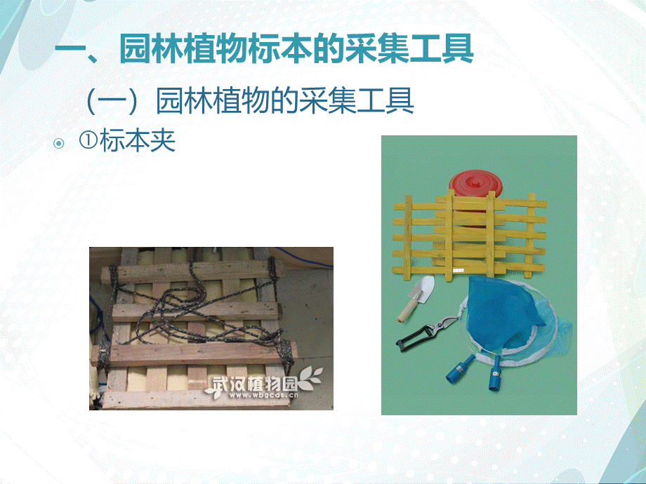 园林植物病害标本采集制作及保存技术.ppt_第3页