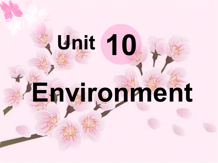 职高英语基础模块(下册)-Unit-10-Environment.ppt