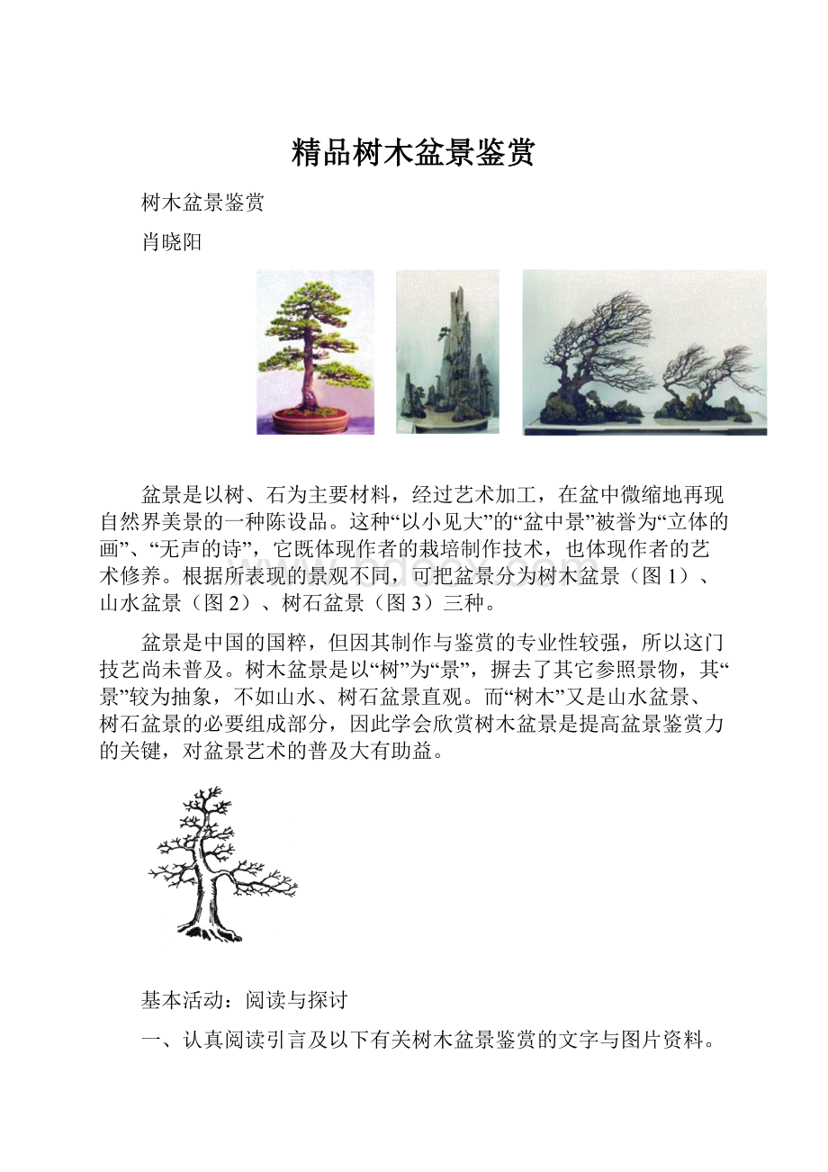 精品树木盆景鉴赏.docx_第1页