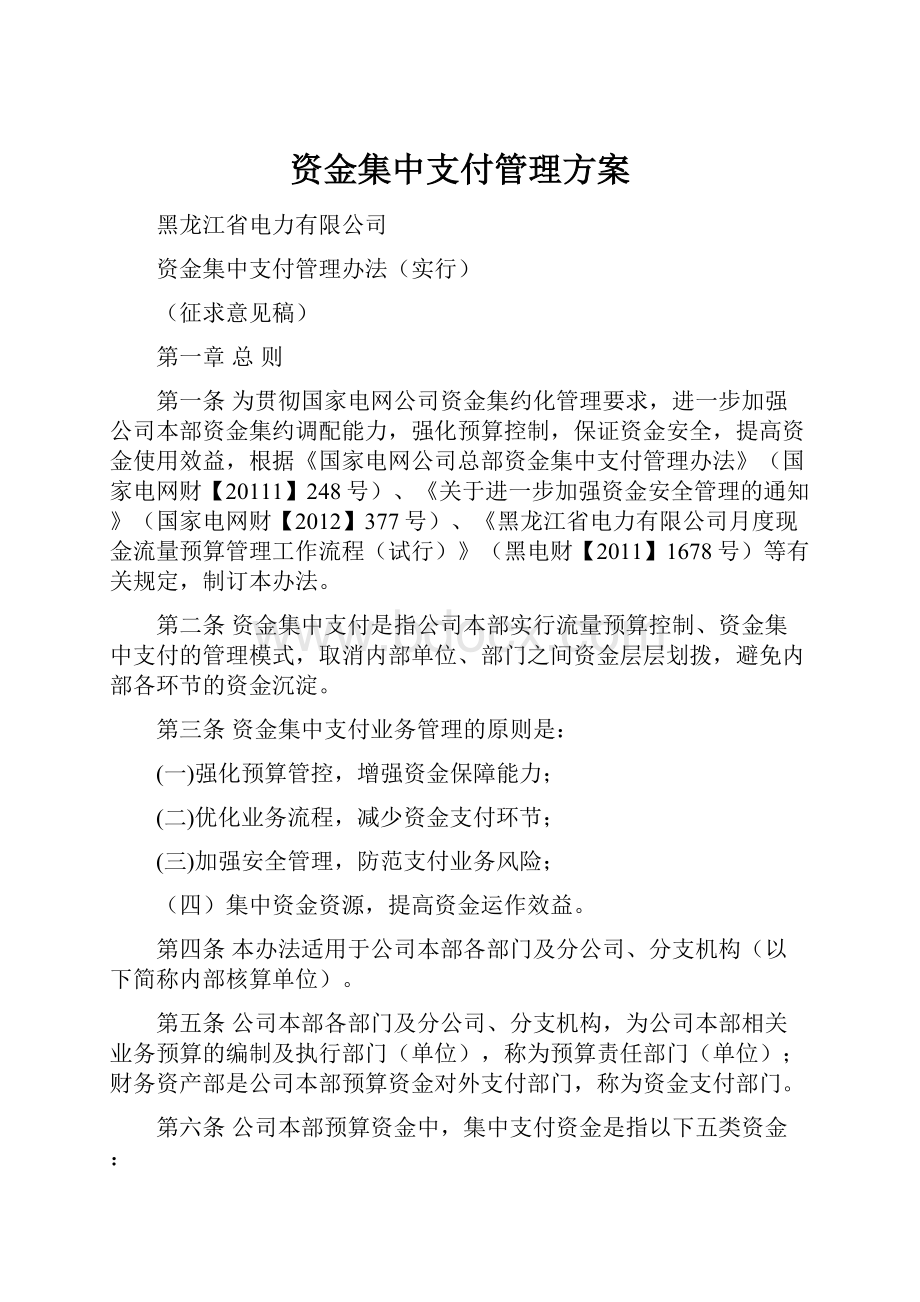 资金集中支付管理方案.docx