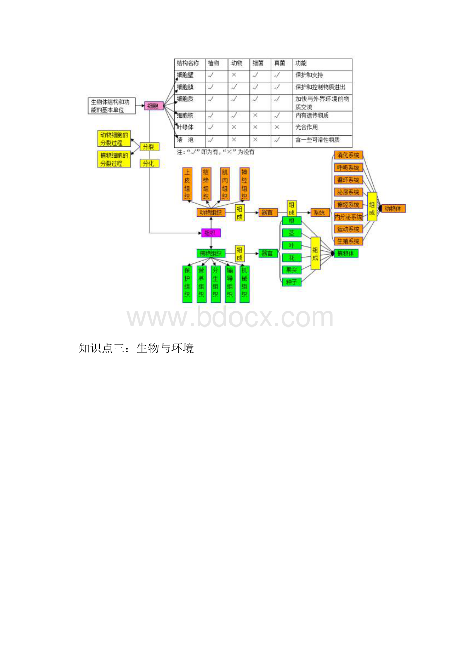 初中生物知识点思维导图.docx_第2页