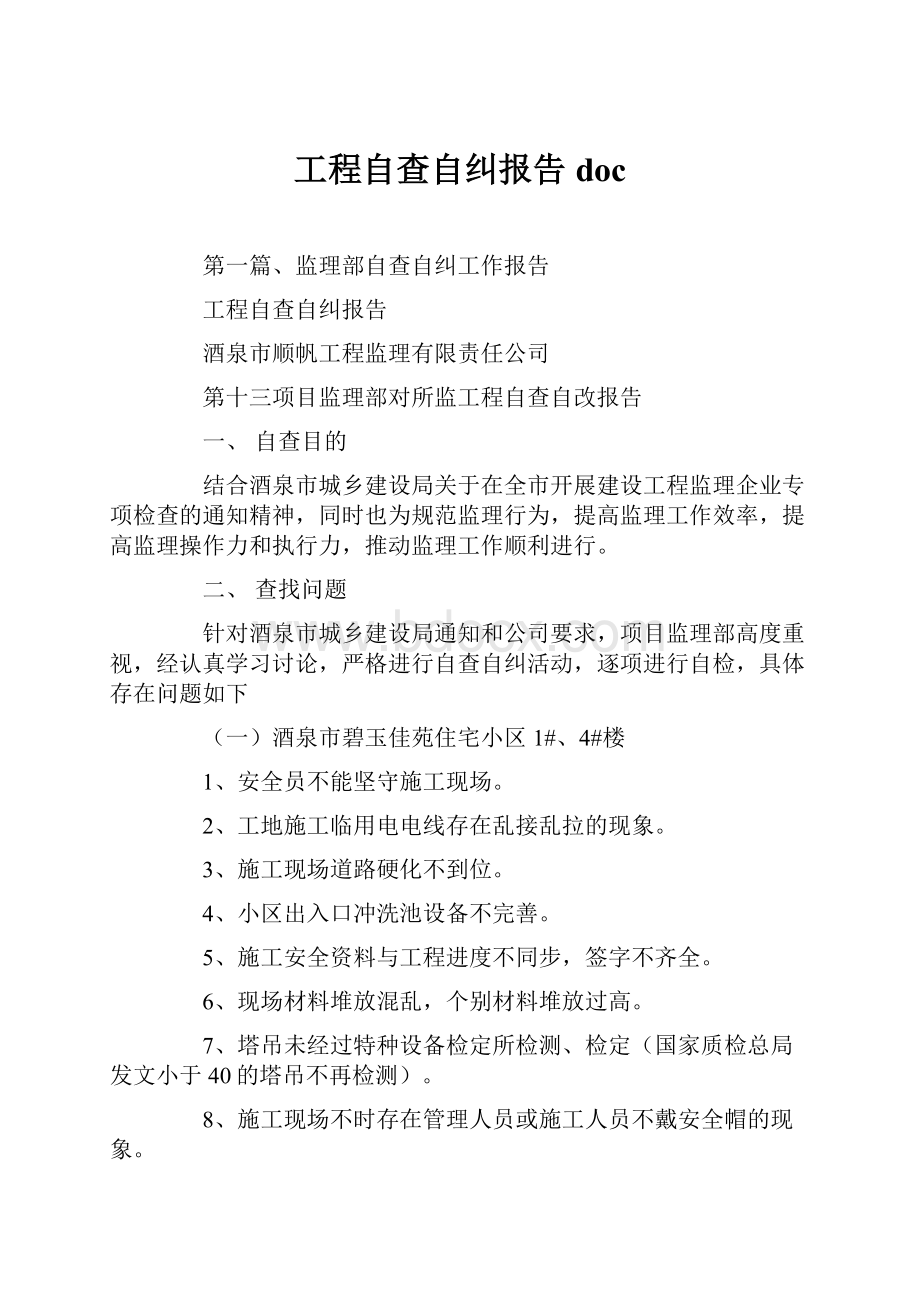 工程自查自纠报告doc.docx_第1页