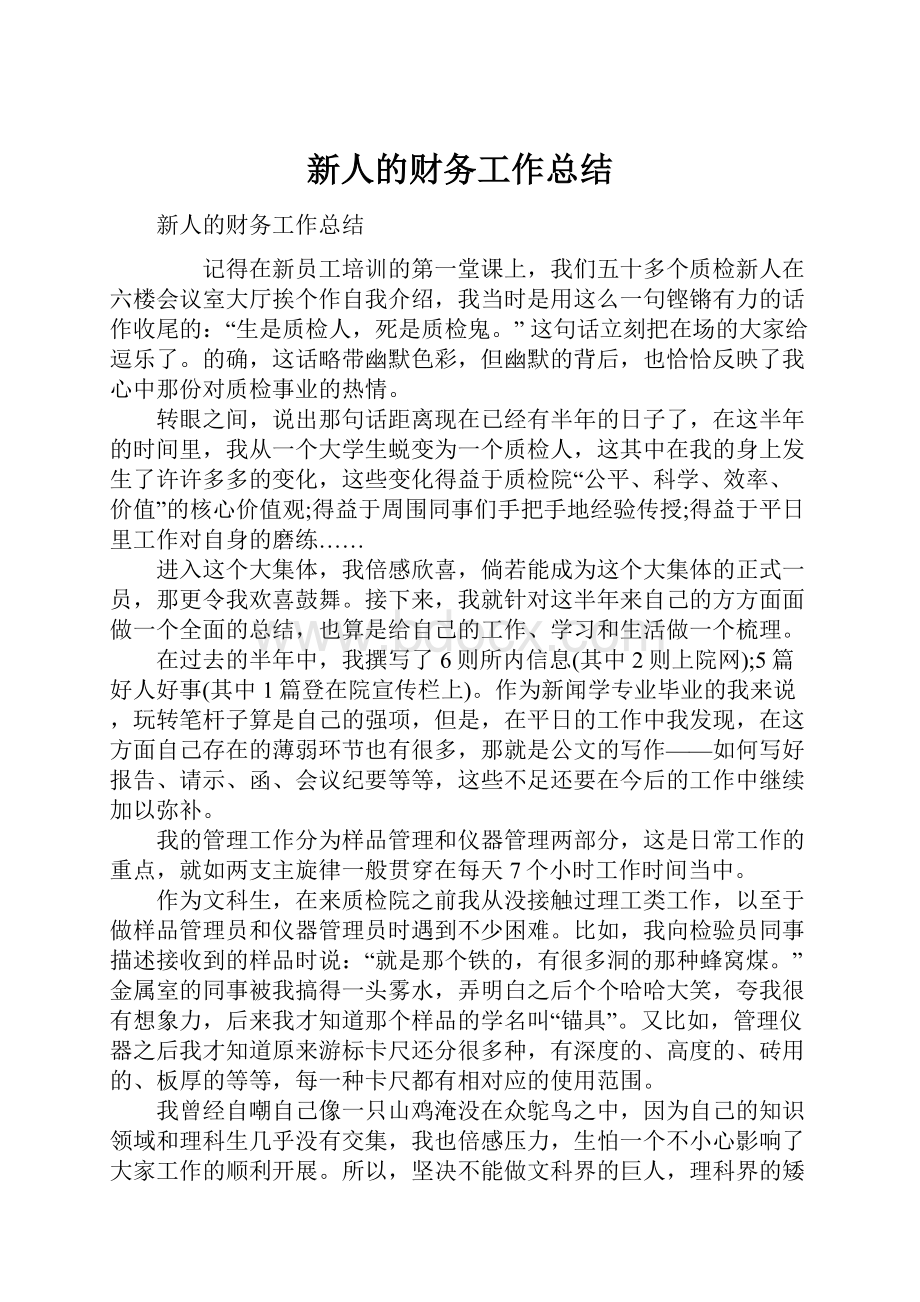 新人的财务工作总结.docx