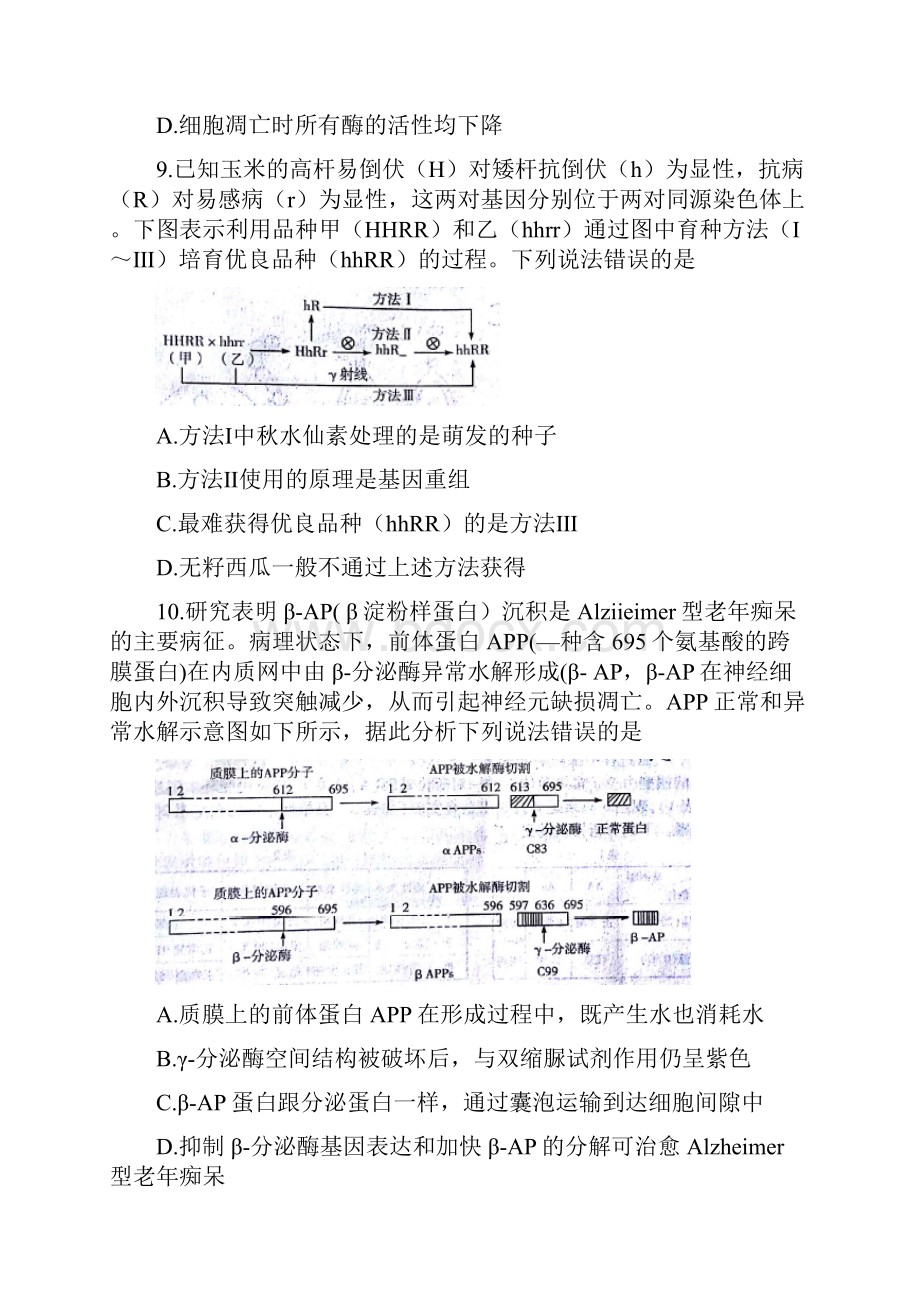 河南省天一大联考全国卷学年高三高中毕业班阶段性测试二生物试题 Word版含答案.docx_第3页