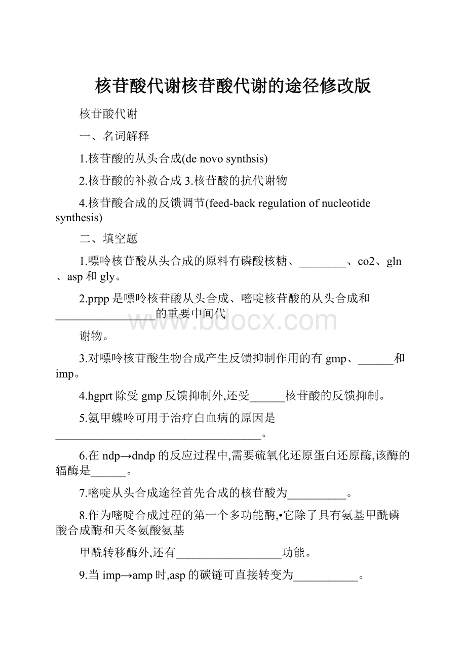 核苷酸代谢核苷酸代谢的途径修改版.docx_第1页