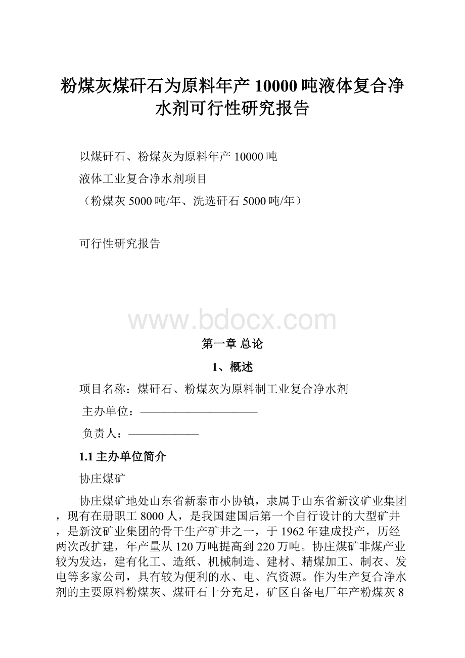 粉煤灰煤矸石为原料年产10000吨液体复合净水剂可行性研究报告.docx