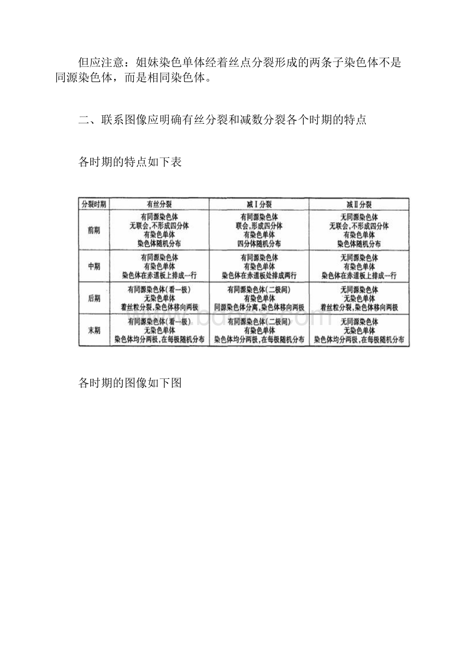 完整版高中生物有丝分裂和减数分裂图解.docx_第2页