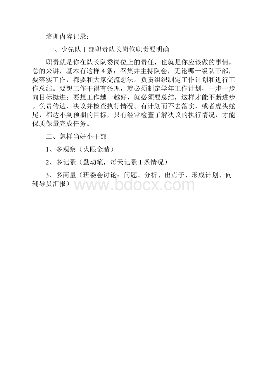 少先队干部培训记录.docx_第2页