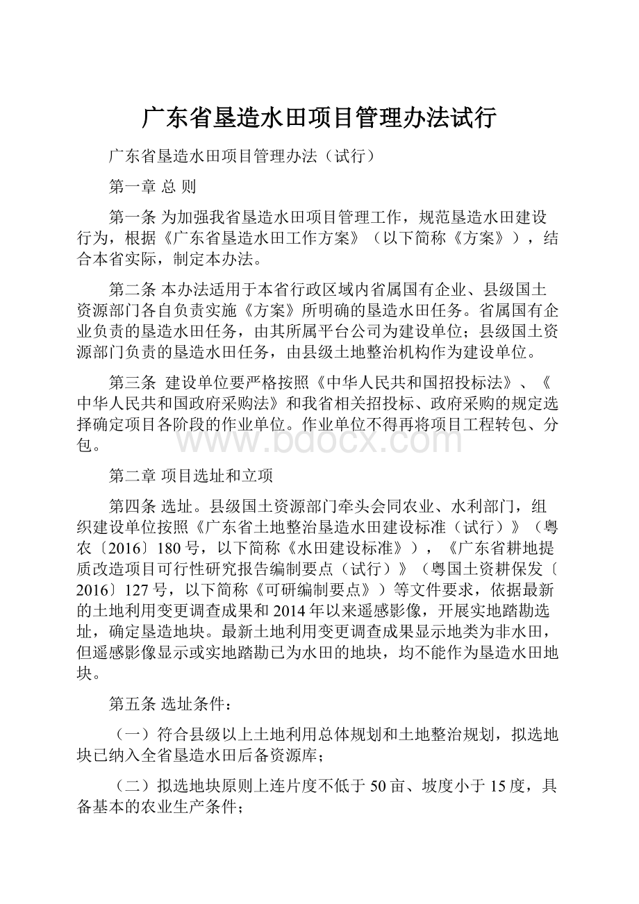 广东省垦造水田项目管理办法试行.docx