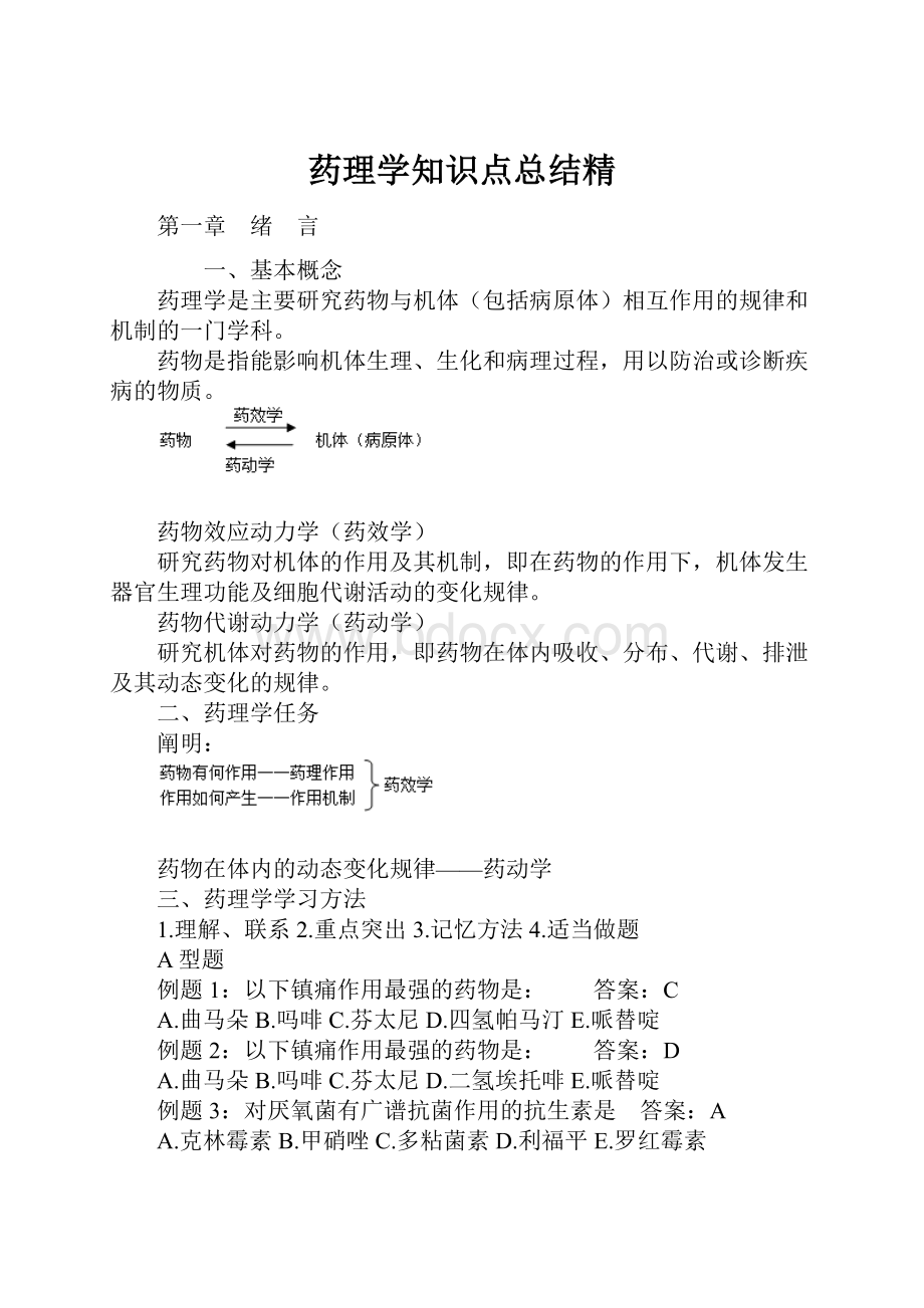 药理学知识点总结精.docx_第1页