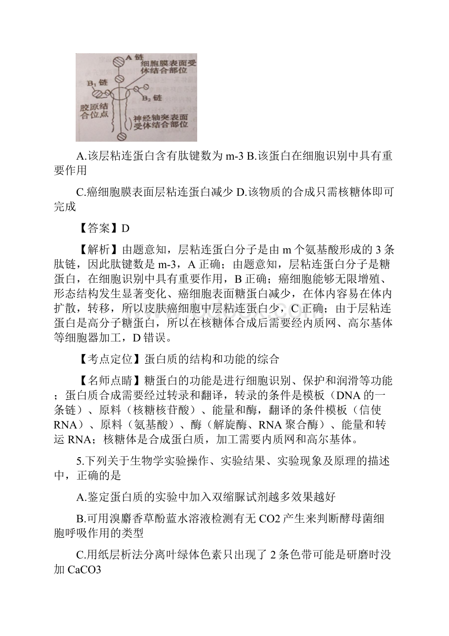 四川省德阳市届高三上学期名校联考生物试题 Word.docx_第3页