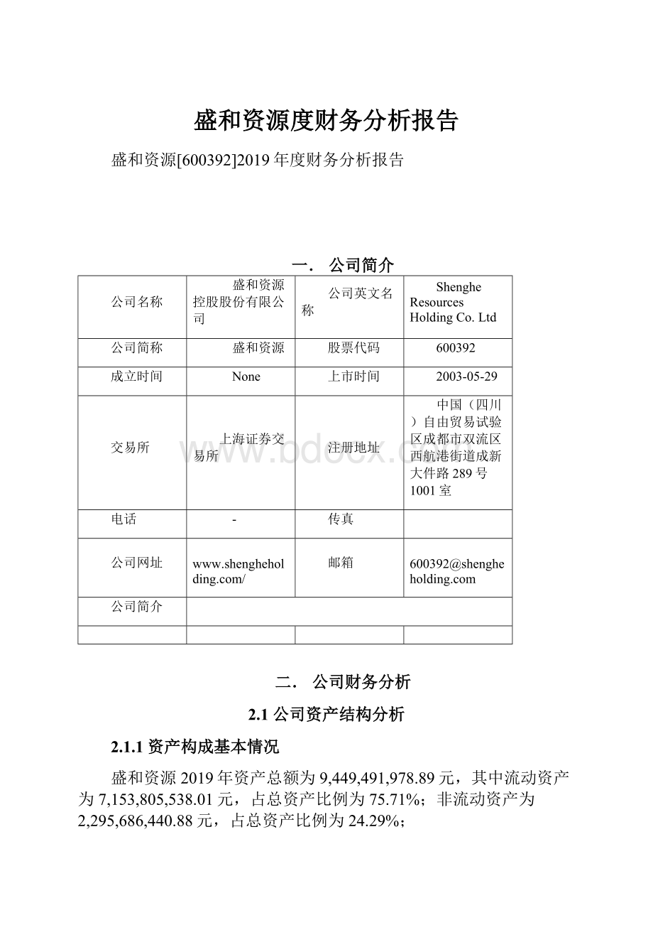 盛和资源度财务分析报告.docx_第1页