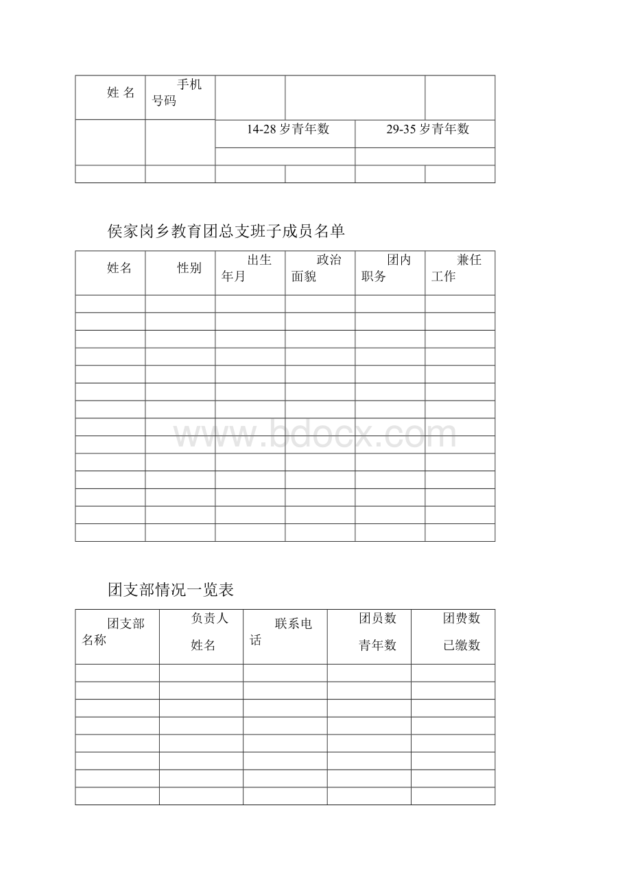 学校团支部台账.docx_第3页