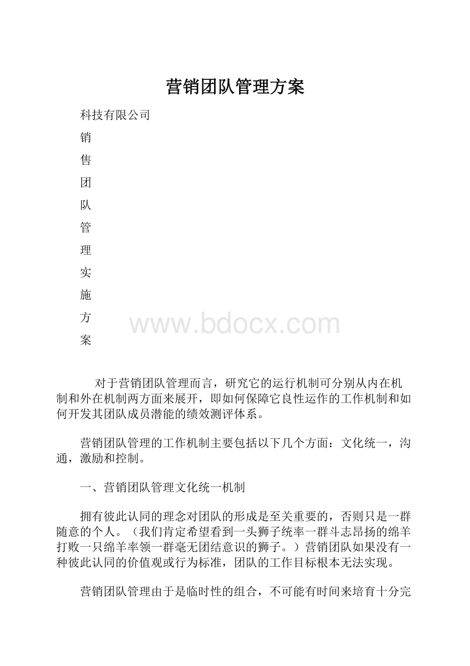 营销团队管理方案.docx