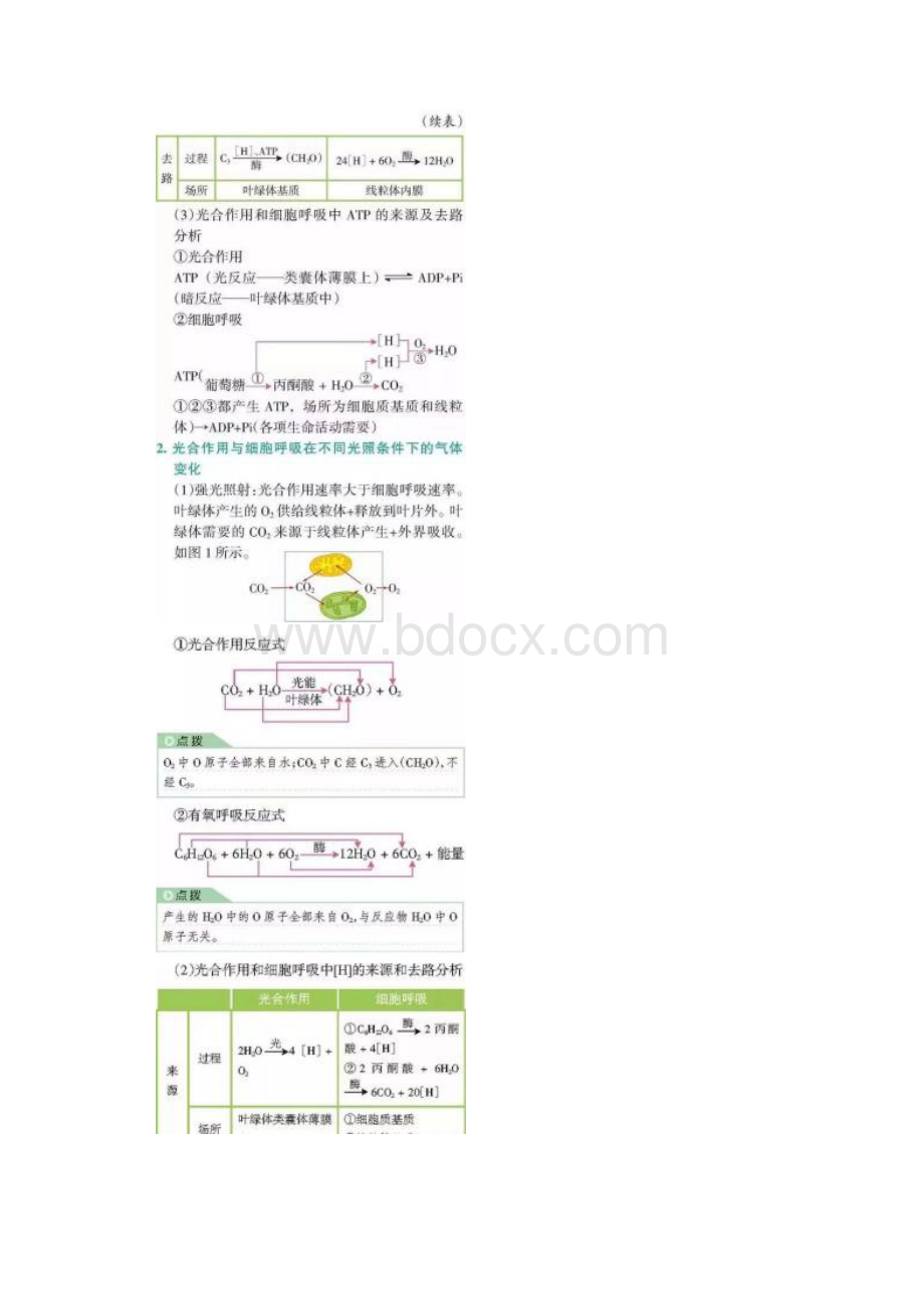 高中生物9个常考题型题目.docx_第2页