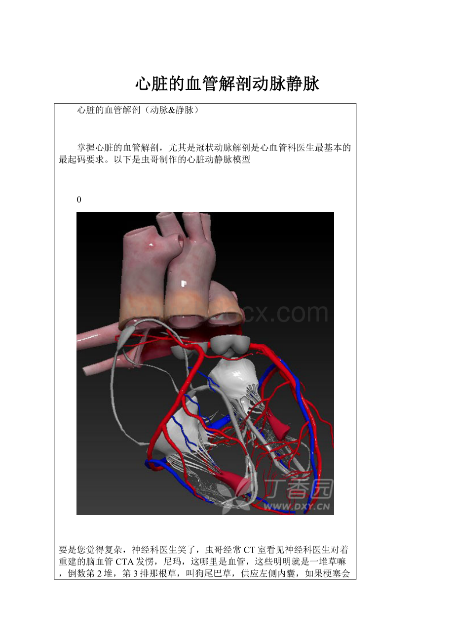 心脏的血管解剖动脉静脉.docx_第1页