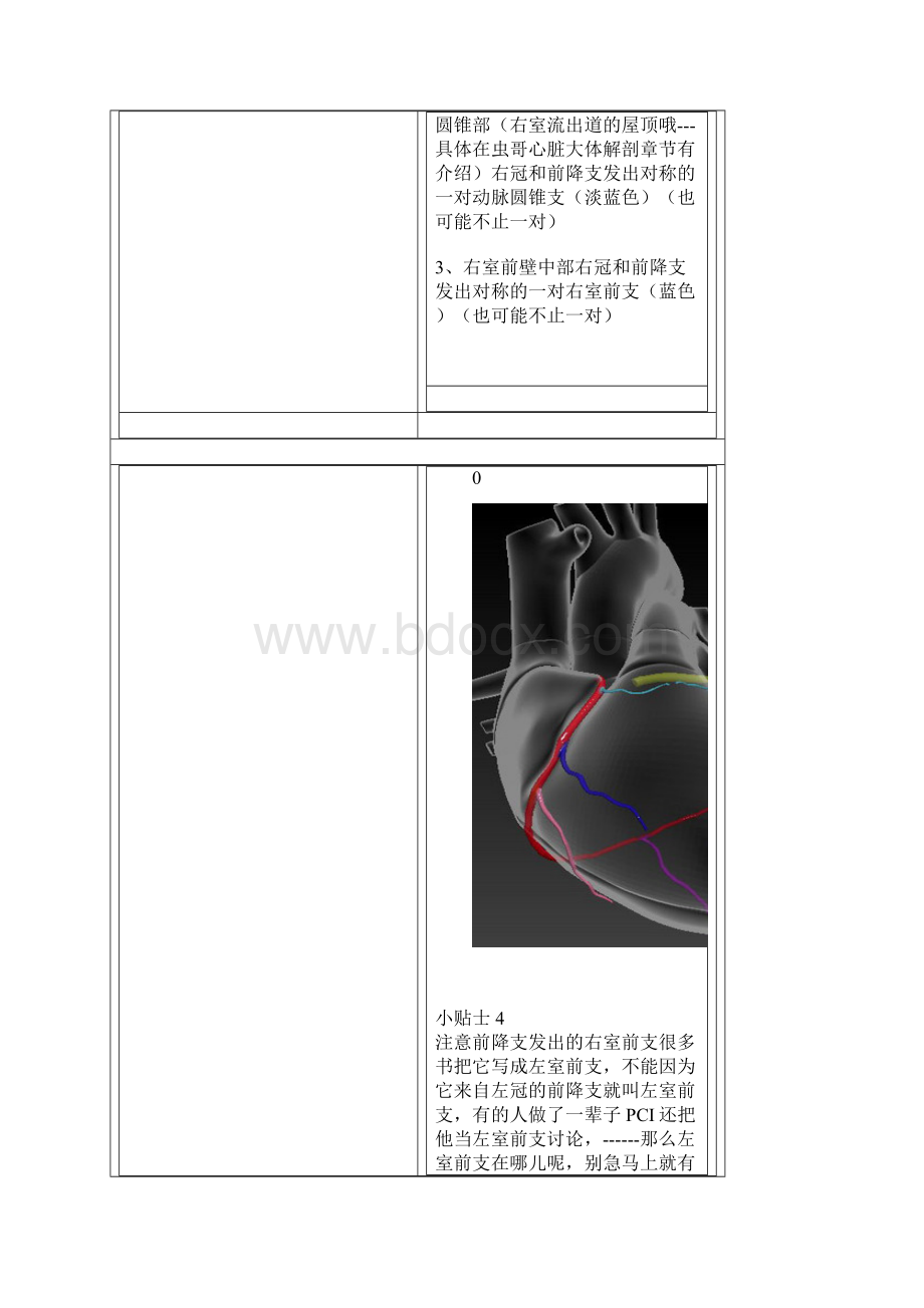 心脏的血管解剖动脉静脉.docx_第3页