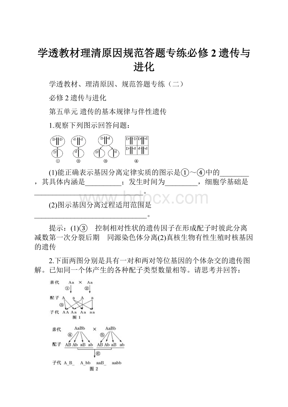 学透教材理清原因规范答题专练必修2遗传与进化.docx_第1页