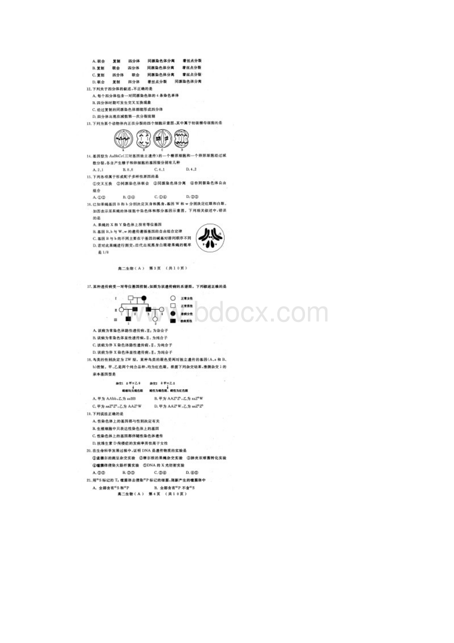 河南省洛阳市学年高二上学期期中考试试题9.docx_第2页