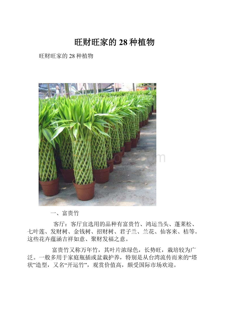 旺财旺家的28种植物.docx_第1页