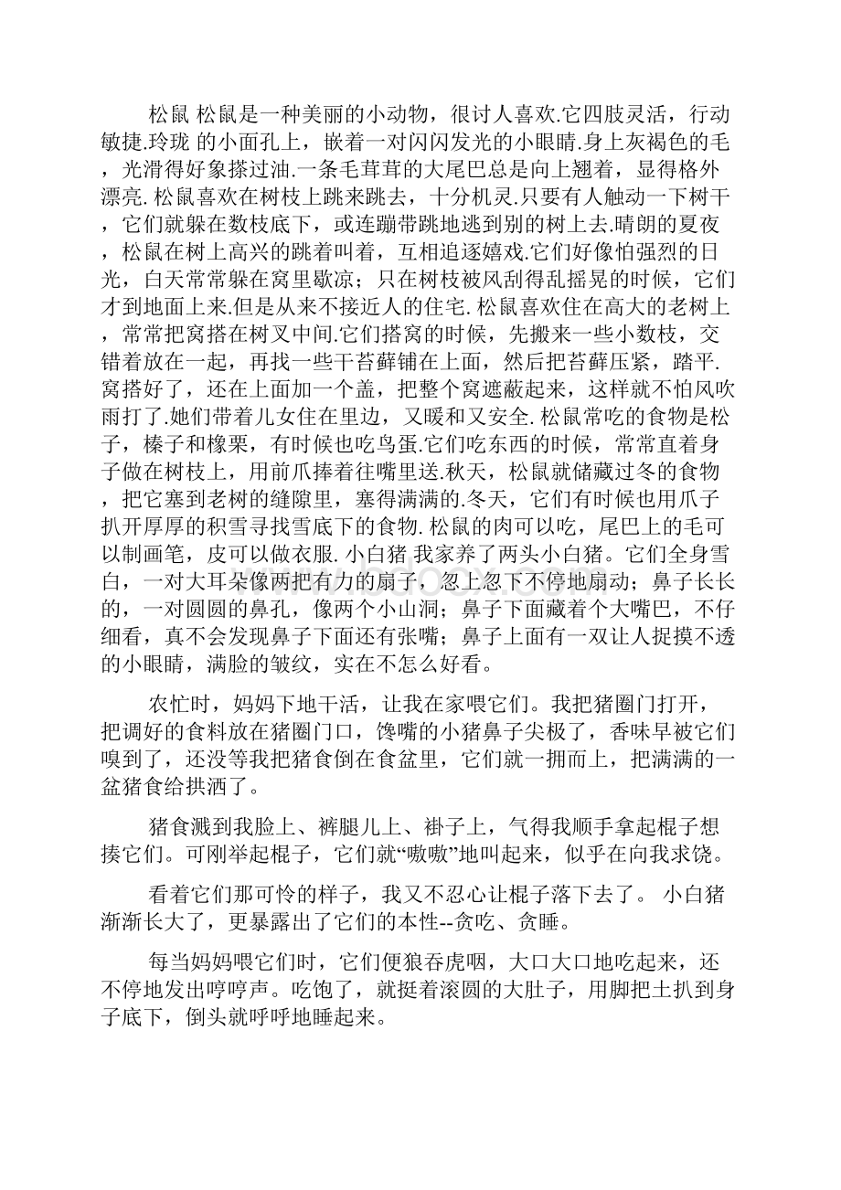 观察小动物300字左右怎么写作文.docx_第3页