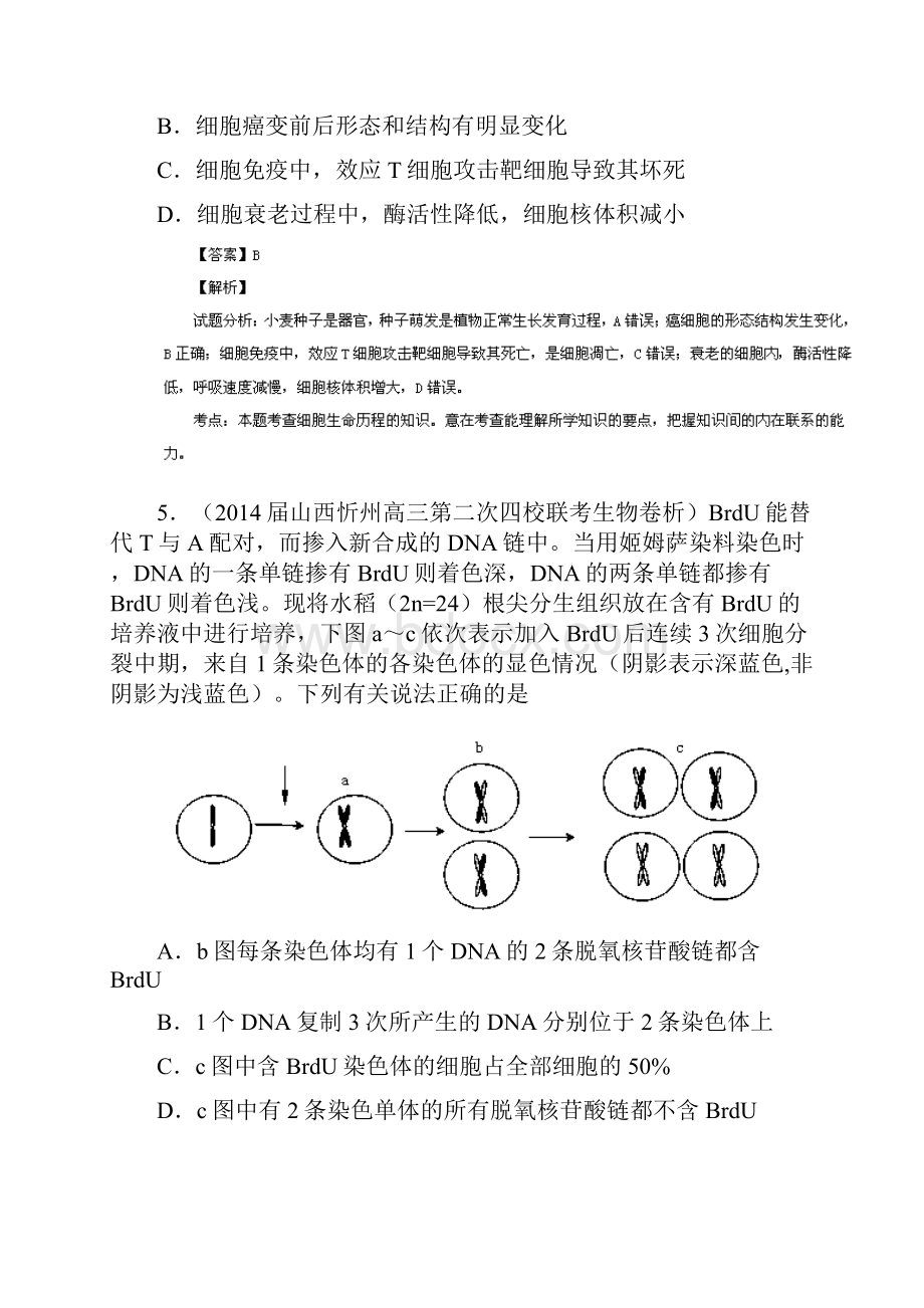 届高三名校生物试题解析分项汇编专题02 细胞的生命历程与遗传的细胞学基础.docx_第3页