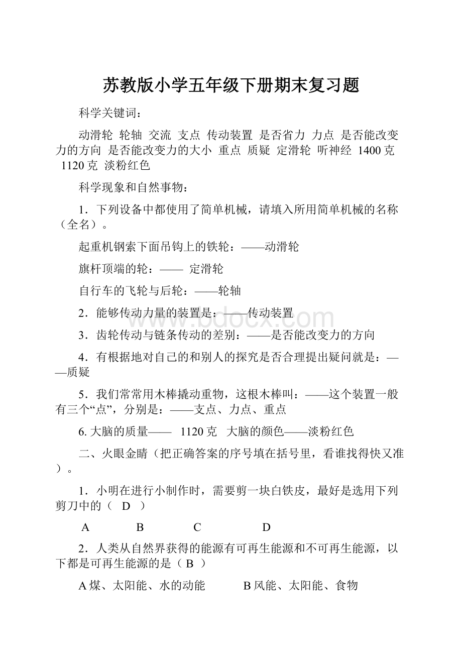 苏教版小学五年级下册期末复习题.docx_第1页