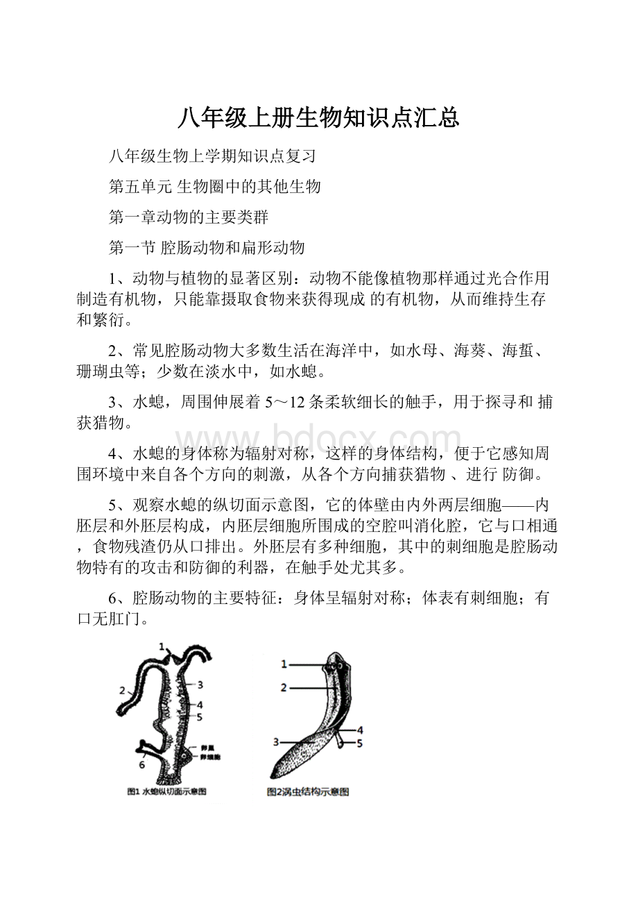 八年级上册生物知识点汇总.docx