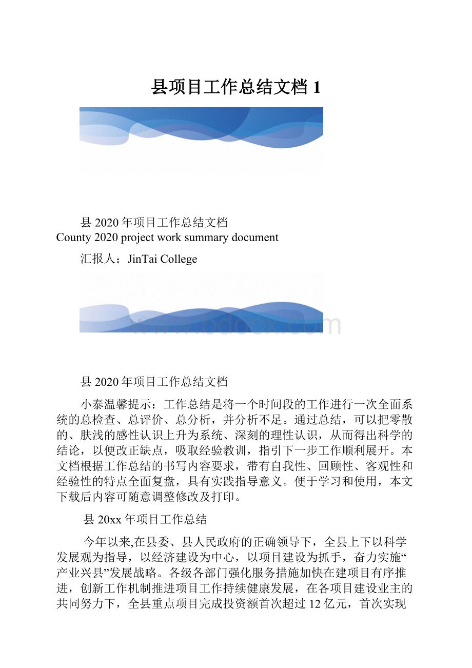 县项目工作总结文档1.docx