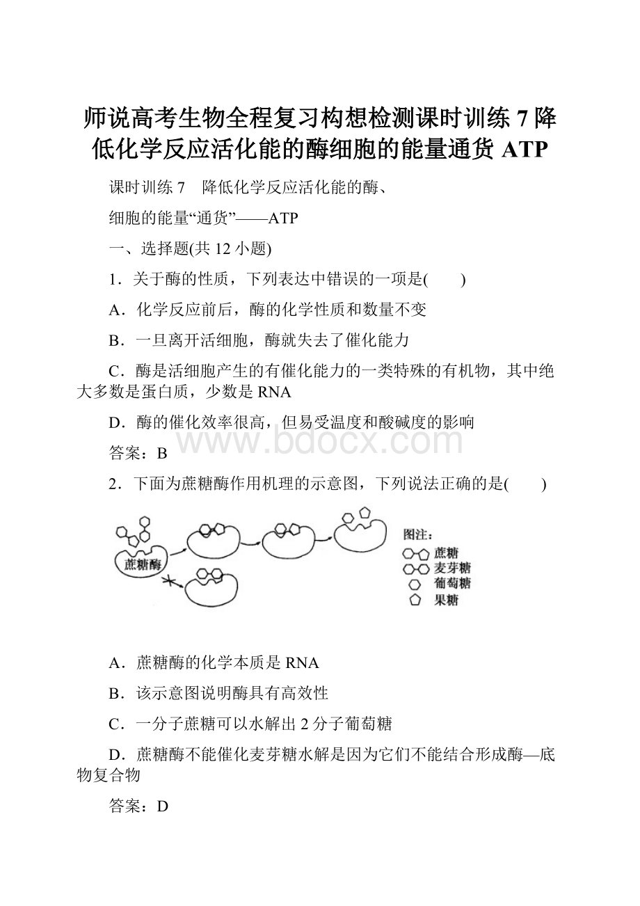 师说高考生物全程复习构想检测课时训练7降低化学反应活化能的酶细胞的能量通货ATP.docx