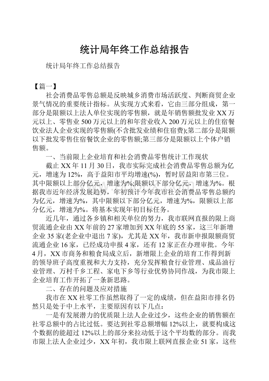 统计局年终工作总结报告.docx