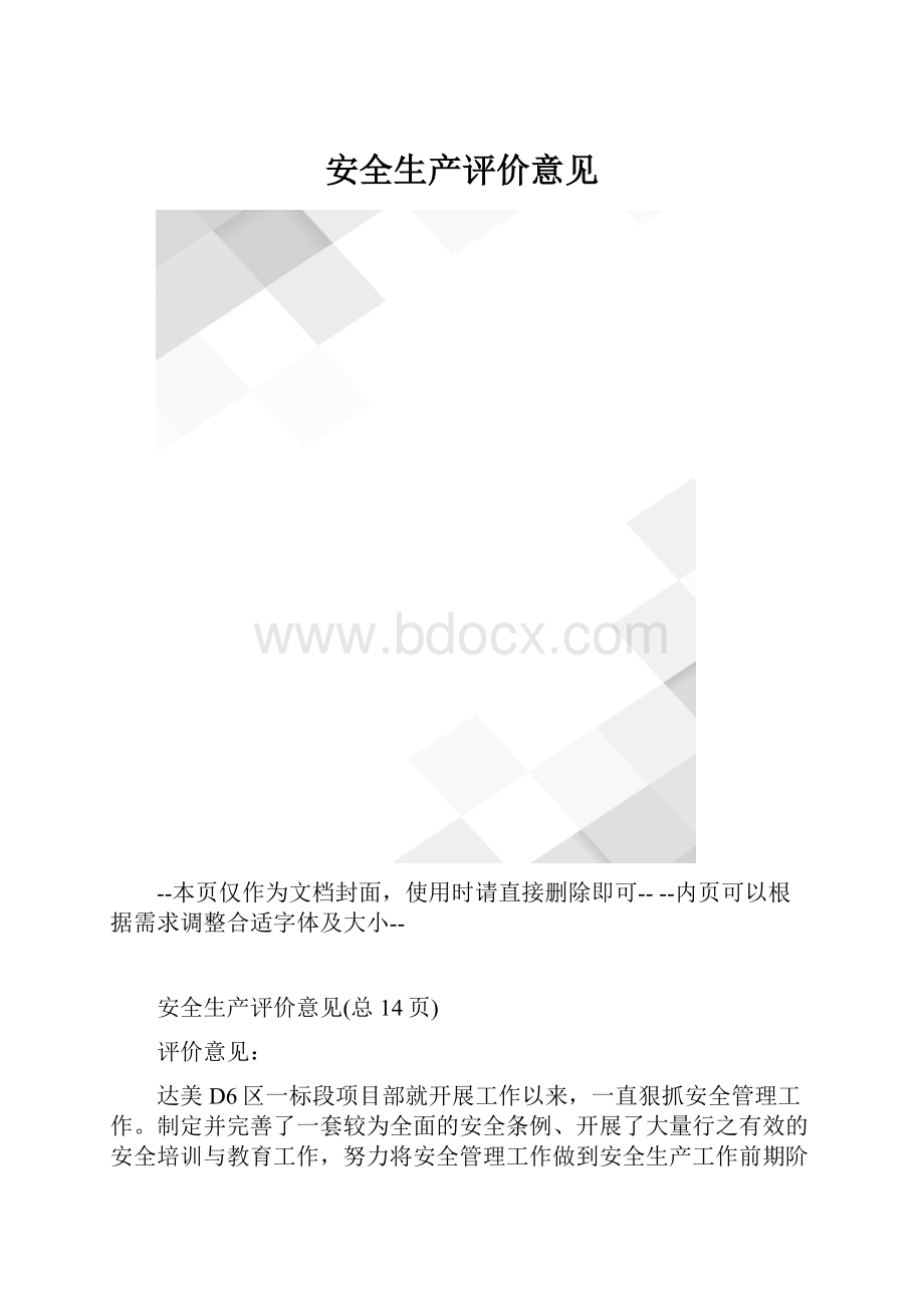 安全生产评价意见.docx