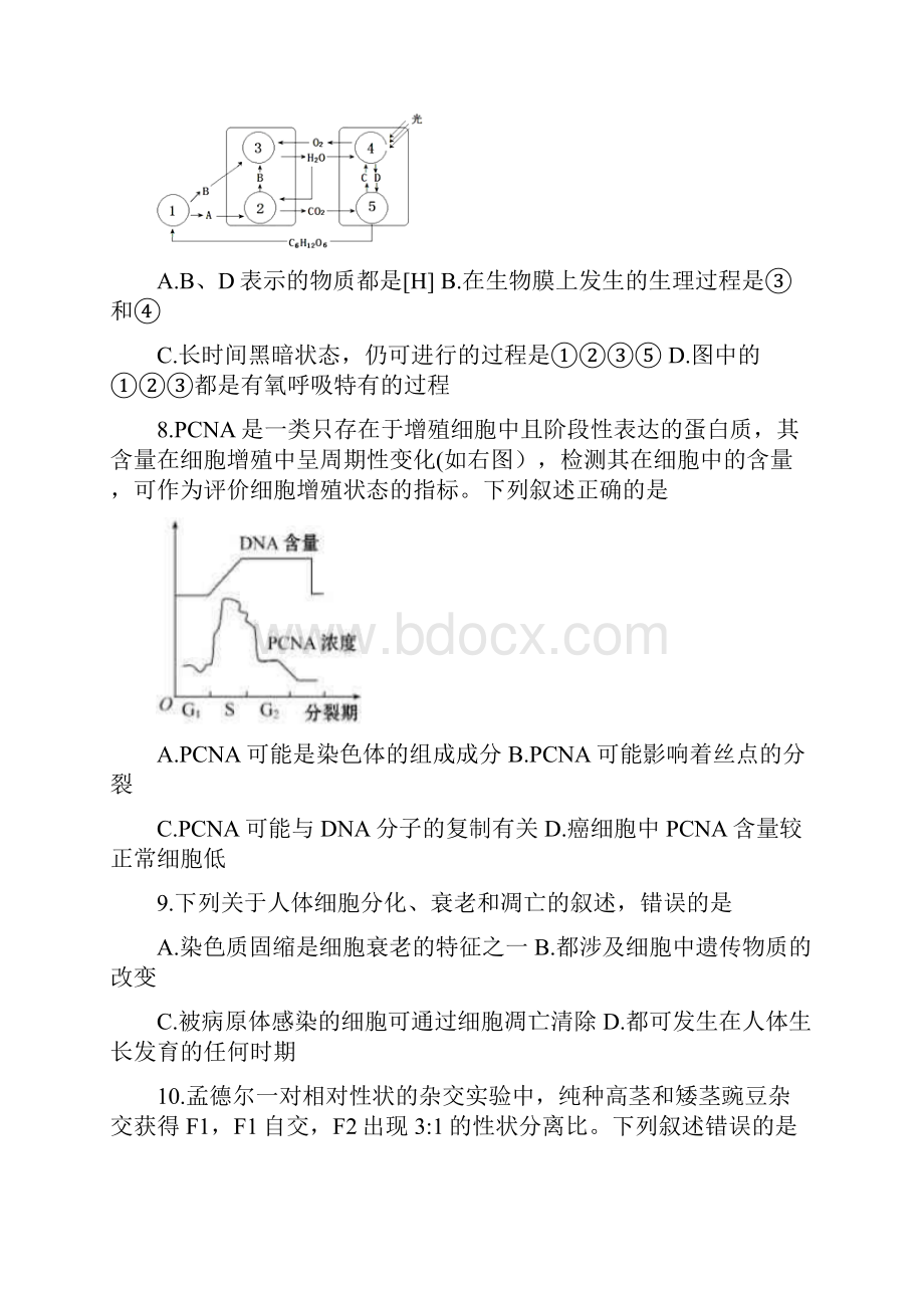 山东省滨州市届高三上学期期末联考生物试题Word版含答案.docx_第3页